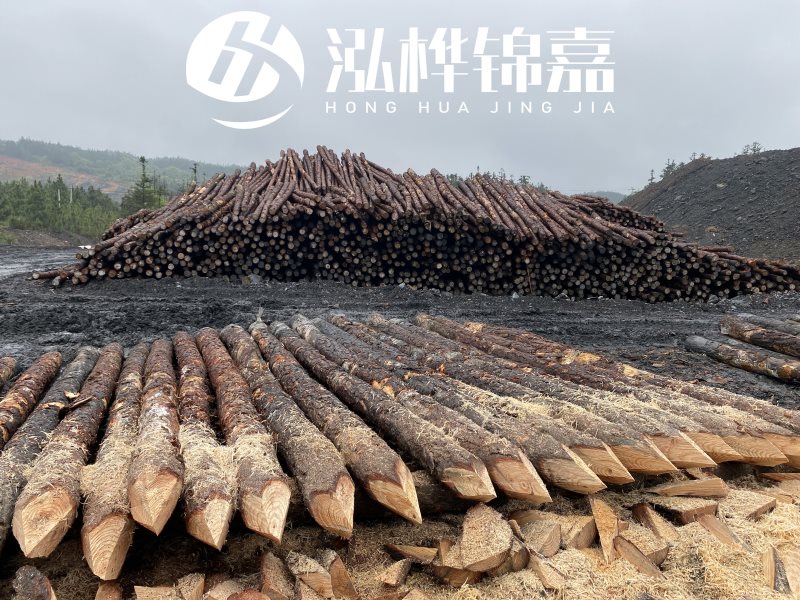 6米長松木樁有哪些作用，多少錢一根？