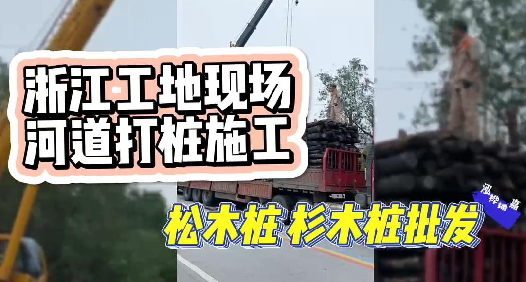 木樁廠(chǎng)家承接松木樁、杉木樁工地施工與批發(fā)視頻