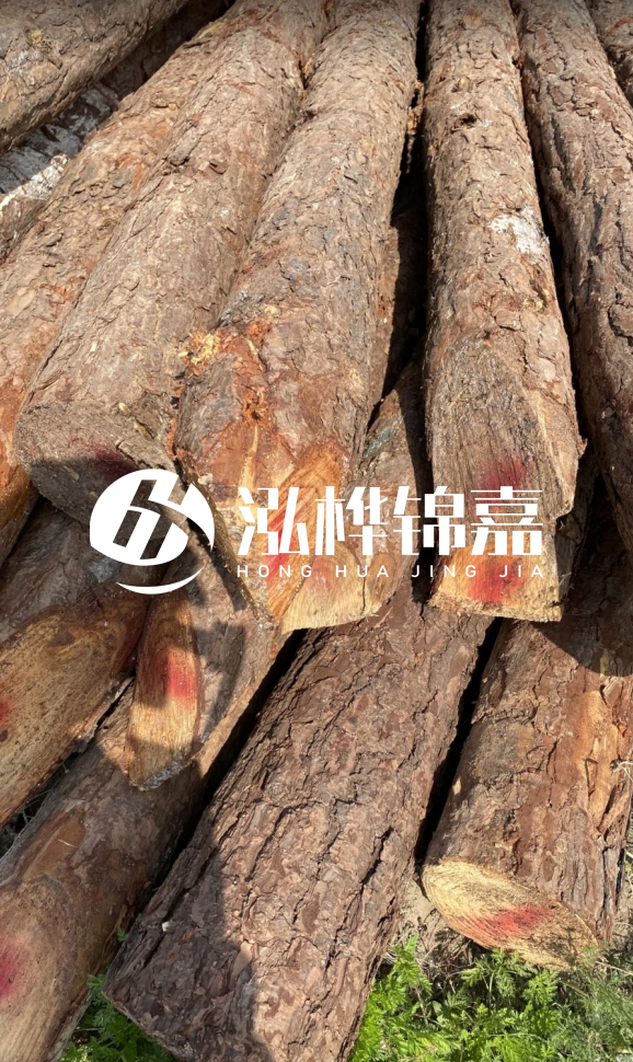 <strong>松木樁和杉木樁的用途區(qū)別？哪個(gè)更適合打樁用？</strong>