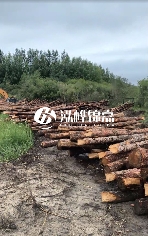 甘肅河道清淤工程公司-為什么要進行河道清淤？