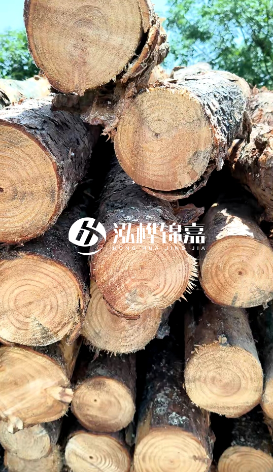 周口挖機打木樁專業(yè)施工-杉木樁施工打樁怎么打？