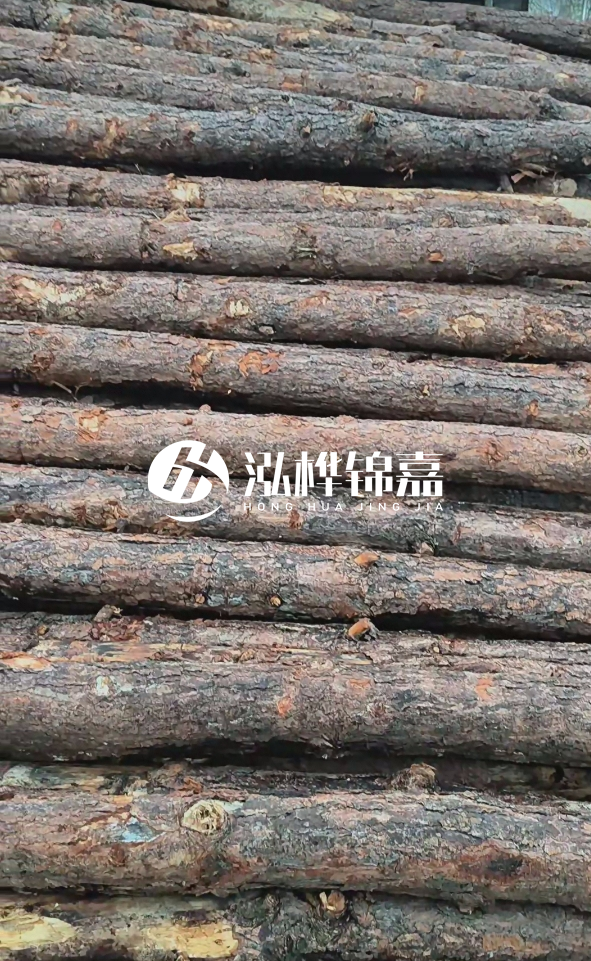 陽(yáng)江松木樁源頭廠家-哪一種打樁木最便宜？