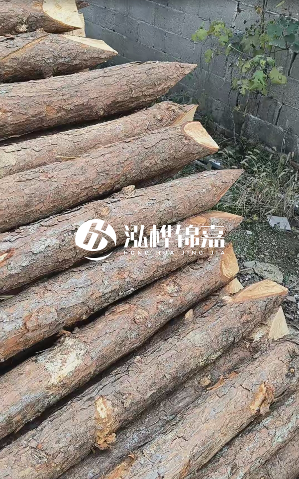 松木樁哪里能大量供應(yīng)？4米20公分松木樁價格是多少？