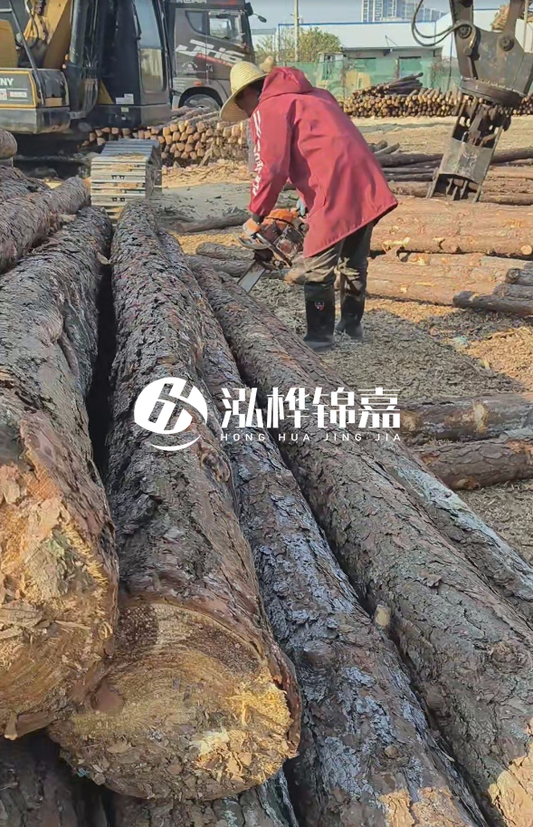 長沙打樁木批發(fā)廠家在哪里？聯(lián)系方式是什么？