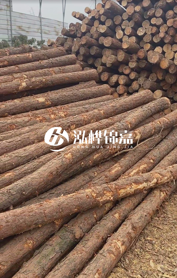 山西河道木樁護(hù)岸價格多少錢一米-每米河道打樁要花多少錢？