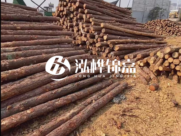 河道木樁施工遇到淤泥怎么辦？打多深才能防沖刷？