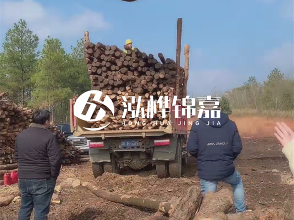防腐木樁價(jià)格比普通木樁貴多少？防腐木樁有哪些處理方式？