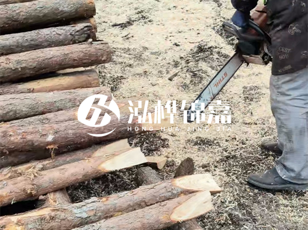 杉木樁批發(fā)廠家哪家好？產(chǎn)地直供渠道推薦！