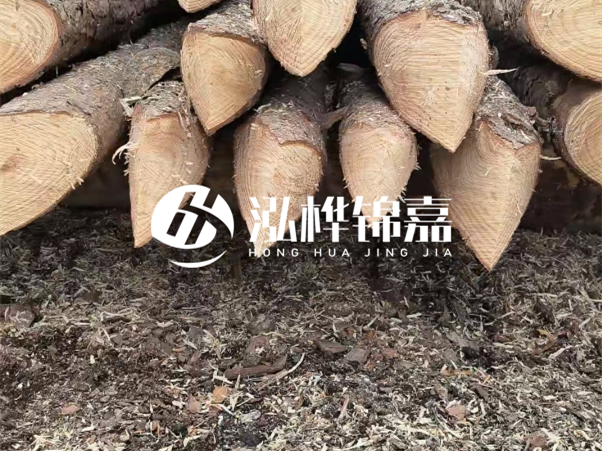 打樁木樁與鋼樁相比有哪些優(yōu)缺點(diǎn)？如何進(jìn)行后期維護(hù)？