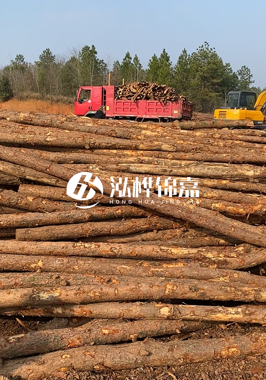 8米小頭11-13CM的松木樁價格是多少？打樁施工怎么算？