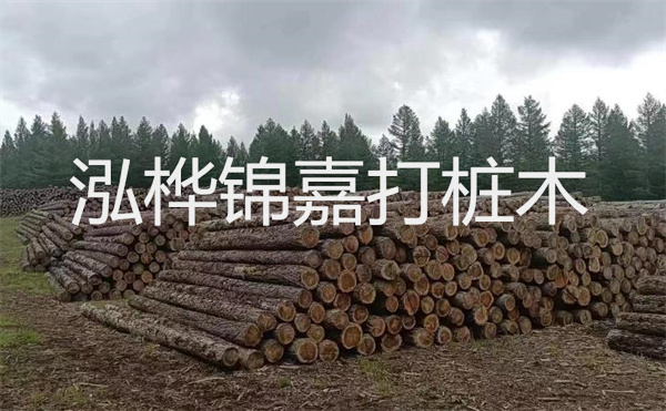 選擇紅磚護(hù)坡，打造獨(dú)特的美麗景觀