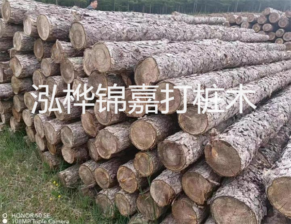 高效修補(bǔ)，保駕護(hù)航！水泥路面高強(qiáng)度修補(bǔ)料為您解決煩惱！