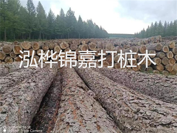 高效施工，圓松木樁助力建筑工程進(jìn)展順利