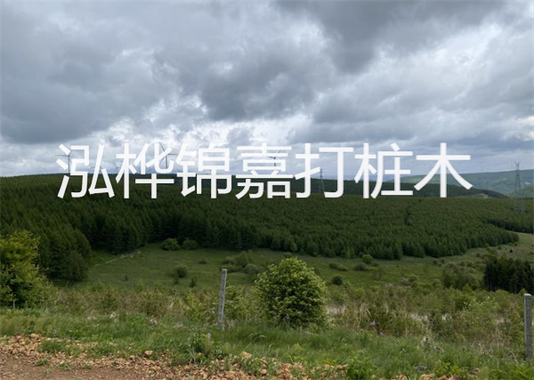 松木樁能重復施工么？