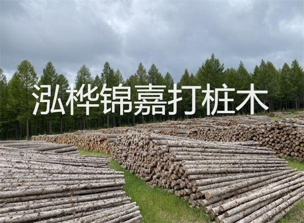 松木樁的施工方法-打造牢固基礎的關(guān)鍵