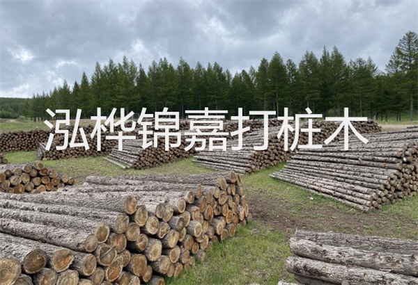 預(yù)制松木樁施工工藝：優(yōu)質(zhì)材料，高效快速，堅固耐用