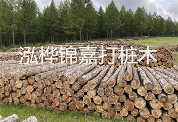 松木樁能施工嗎？探究視頻揭秘真相！
