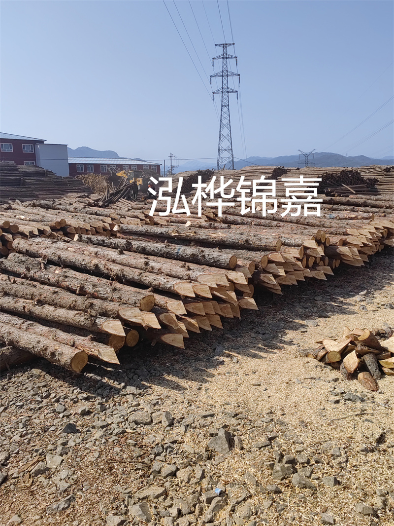 深入了解松木樁基礎施工單價，助力工程建設順利進行！