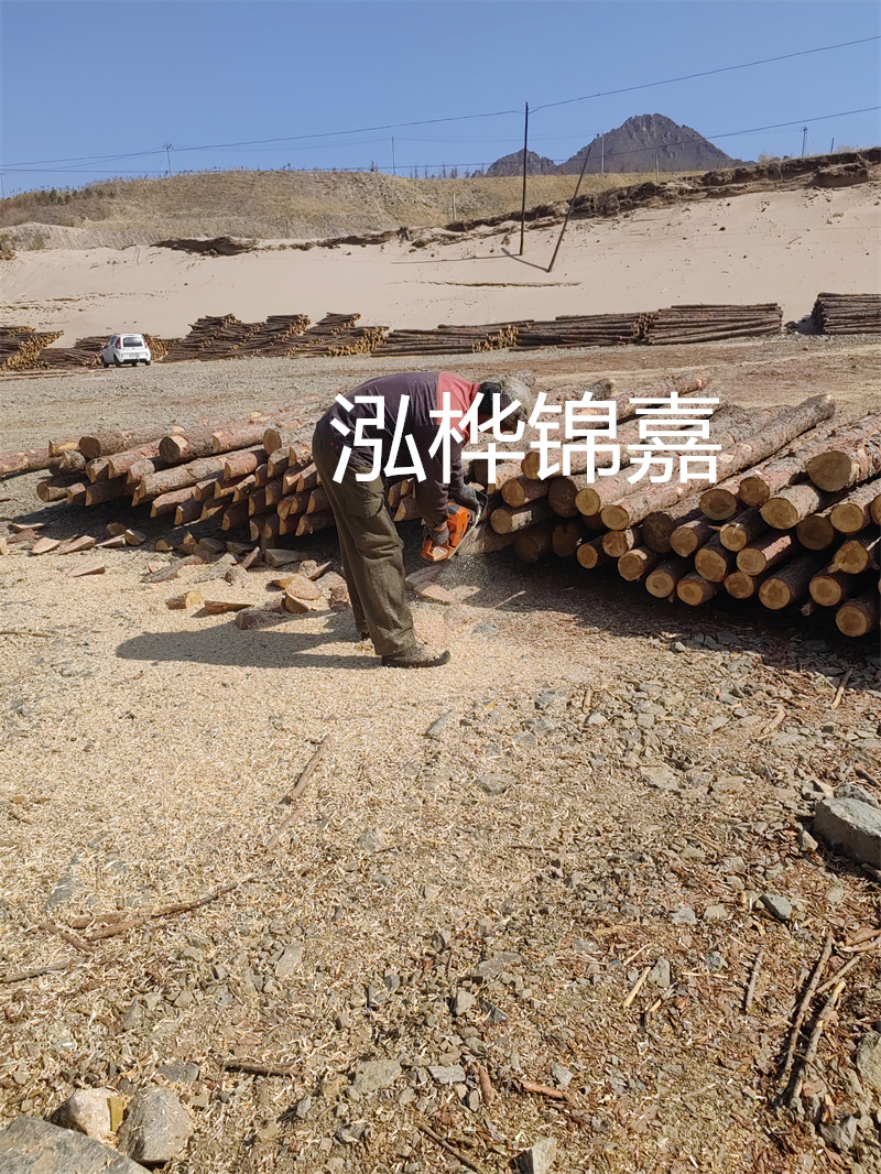 松木樁駁岸施工，打造水上風景線