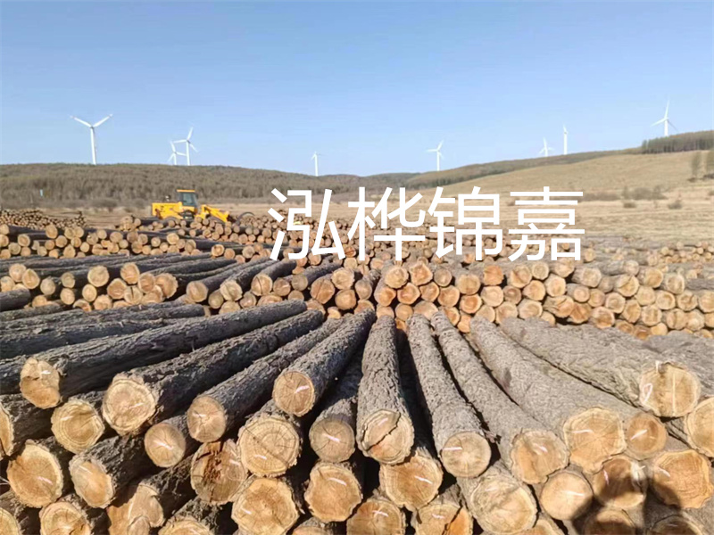 溫州松木樁施工廠家——為您打造堅固穩(wěn)定的建筑基礎(chǔ)！
