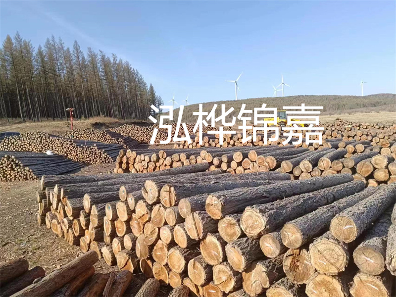用路基松木樁施工方案提升工程質(zhì)量描述：了解路基松木樁施工方案的重要性，提高工程質(zhì)量關(guān)鍵詞：路基松木樁，施工方案，工程質(zhì)量