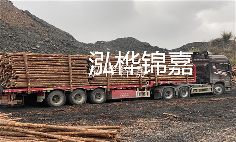 大理松木樁哪里賣？選擇合適的松木樁來保護(hù)你的建筑